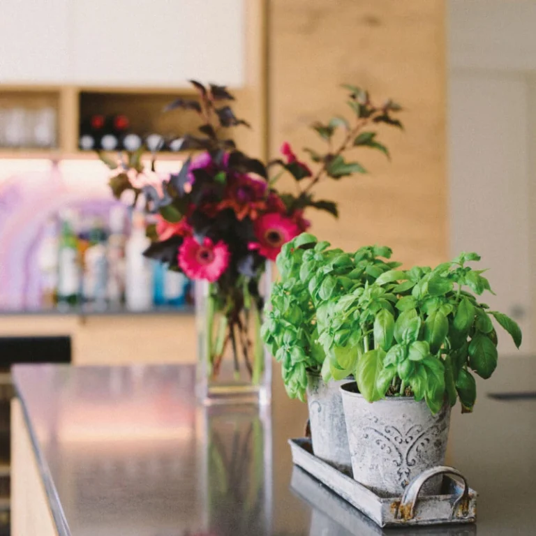 Ardingly Kitchen Design